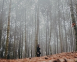 10 Wisata Alam di Kota Bandung yang Wajib Kamu Kunjungi Bersama Si Dia