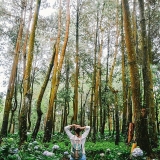 20 Tempat Instagramable di Malang yang Wajib Diburu